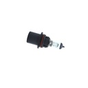 Bujia carro halógena 9004 12v 100/80w transparente