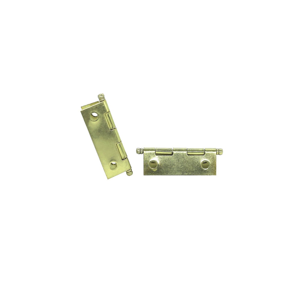 Bisagra induma 2"x1.1/4" con pin con tornillo c.20