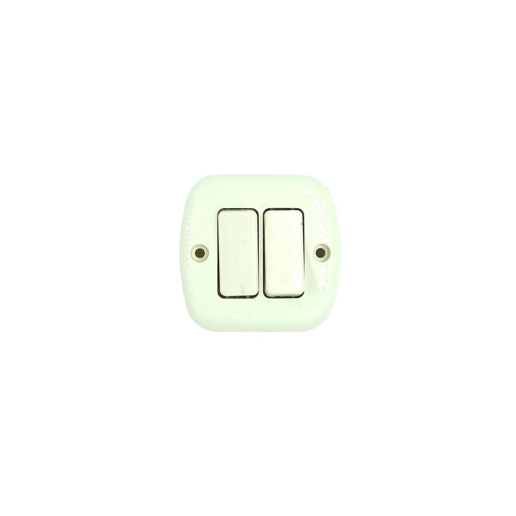 Switch doble superficial 123-11