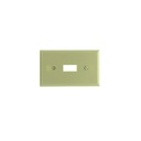 Placa plastica para switch sencillo aguila 2134-v
