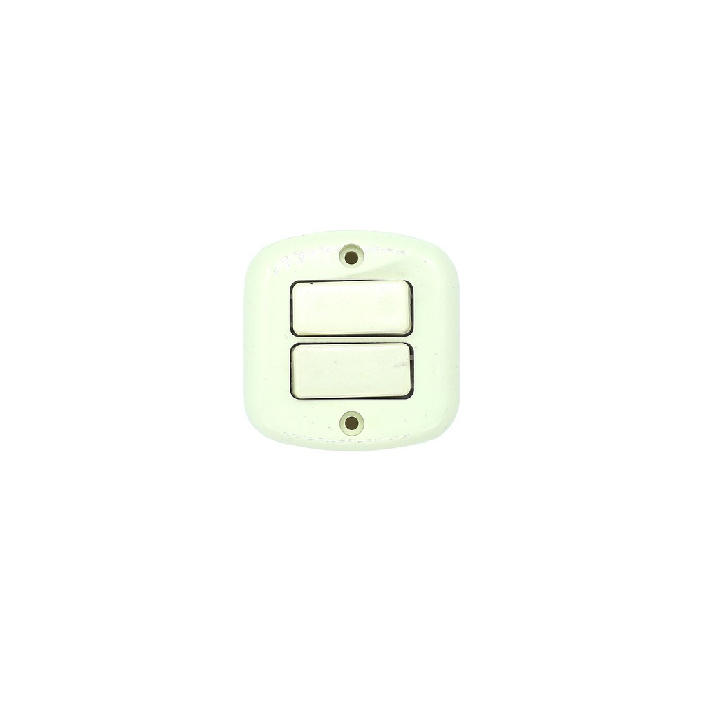 Switch doble superficial 123-11