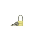 Candado papaiz 25mm=1" cr 25 dorado