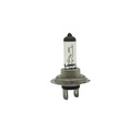 Bujia carro halógena h7 12v 100w px26d