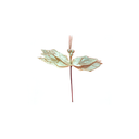 Flor navideña 22cm s23-22g dorado