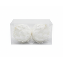 Adorno navideño flor/pluma 2pc 10cm 2115 blanco